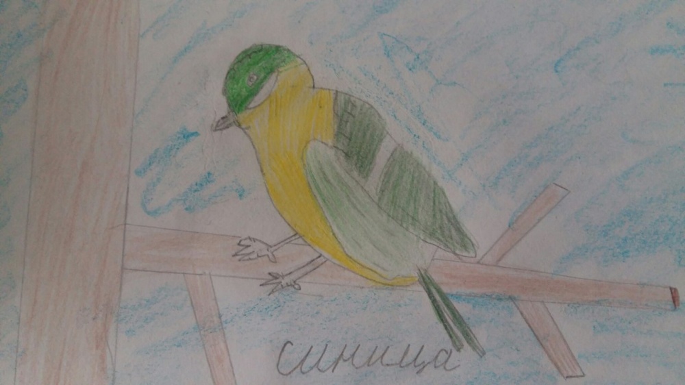 Альбина Салышева: Синица