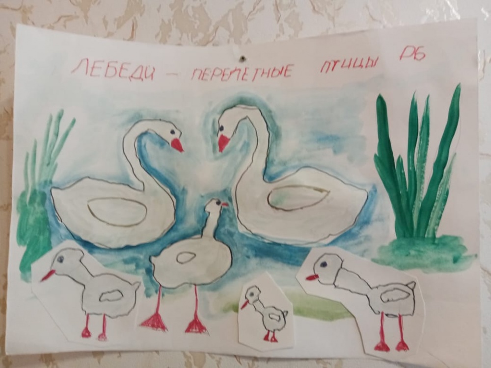 Данис Зарипов: Лебеди - перелетные птицы