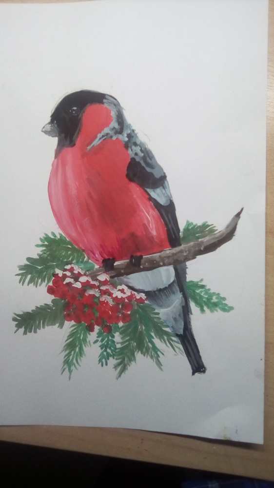 Камилла Шарифуллина: Снегирь