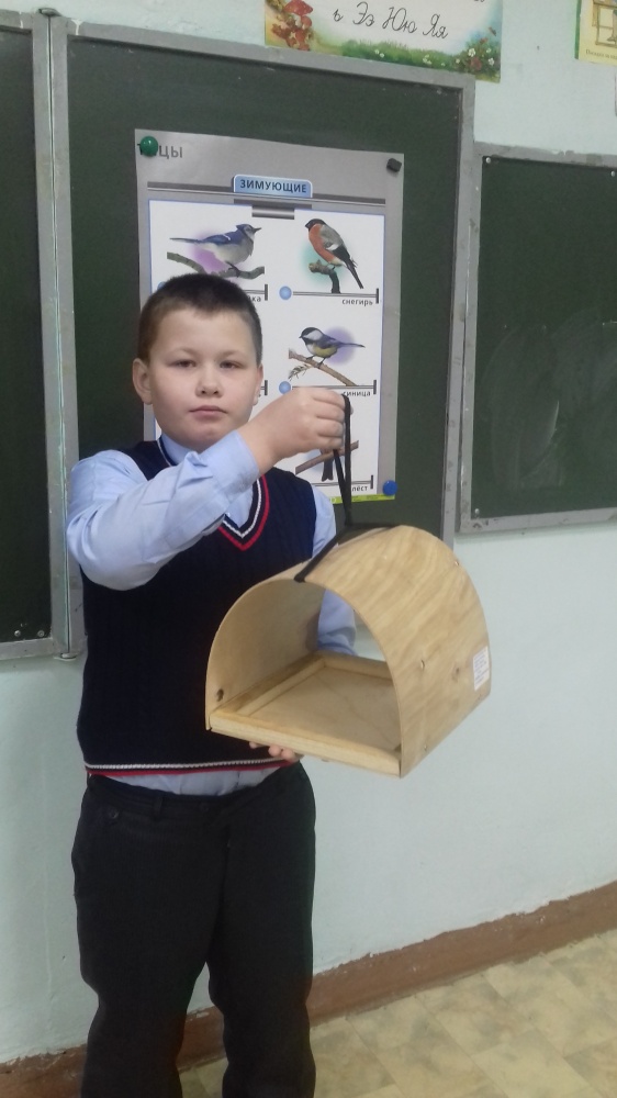 Даниэль Ахметьянов: Моя кормушка