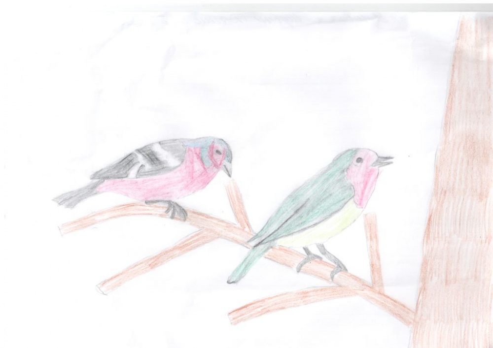 Данис Шубин: Птицы