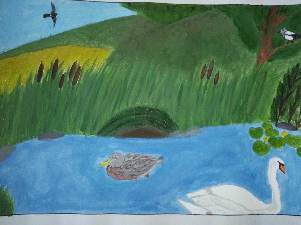 Детские рисунки озера. Озеро рисунок. Детская иллюстрация озеро. Детские рисунки озеро. Птичье озеро иллюстрация.