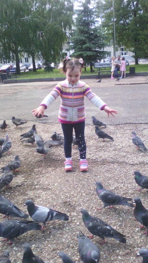 Арина Карпова: Сизые голуби