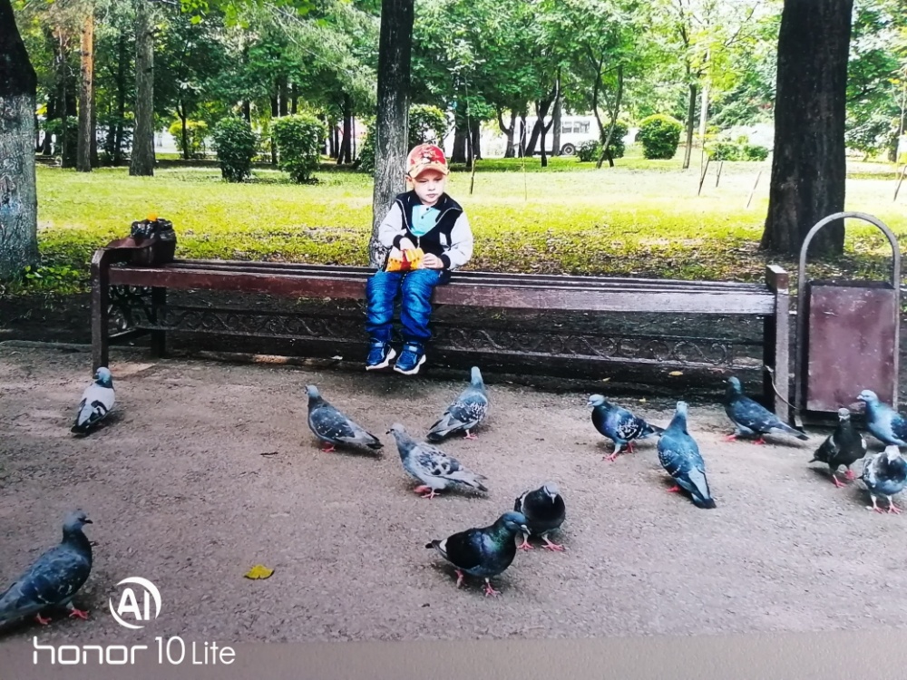 Владик Яковлев: Сизые голуби
