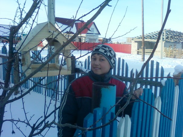 Арслан Азаматов: Кормушка для птиц
