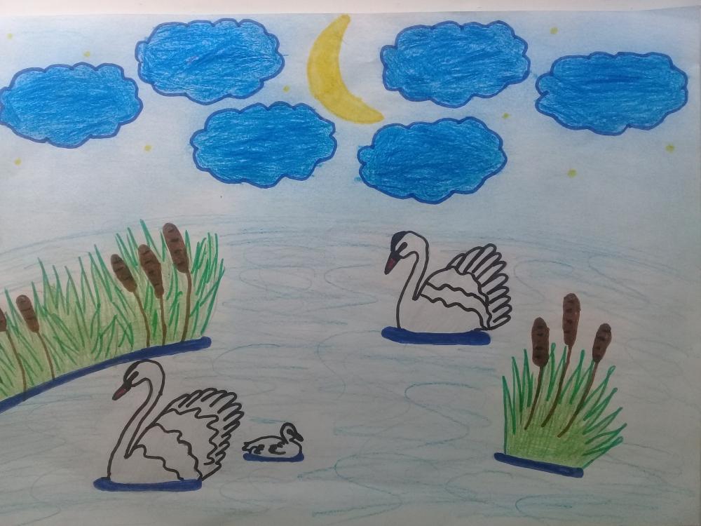 Роман Солдатов: Лебеди на нашем пруду