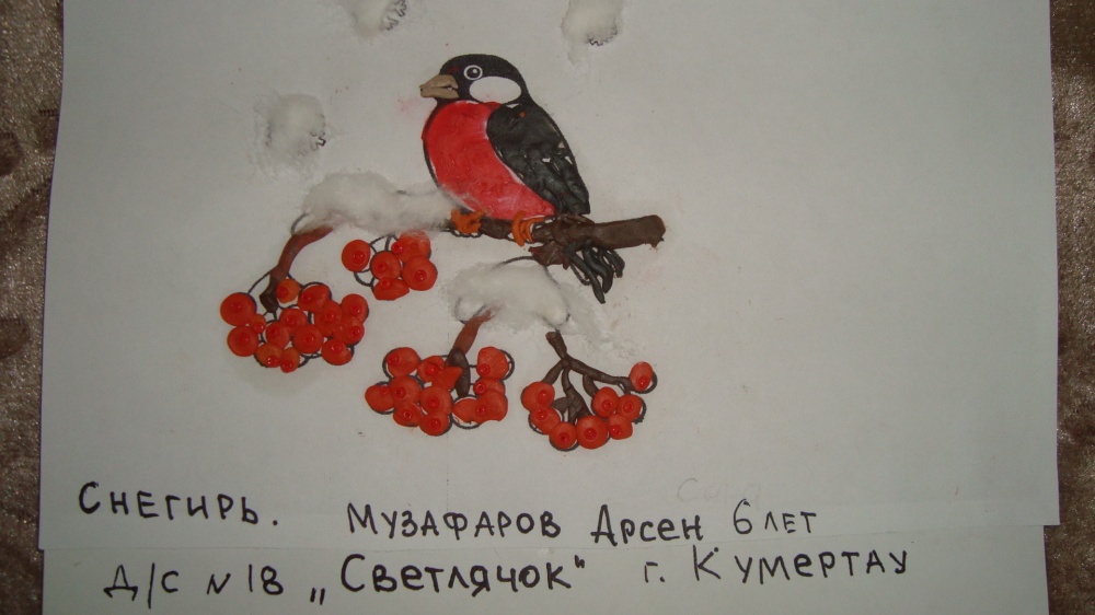 Арсен Музафаров: Снегирь