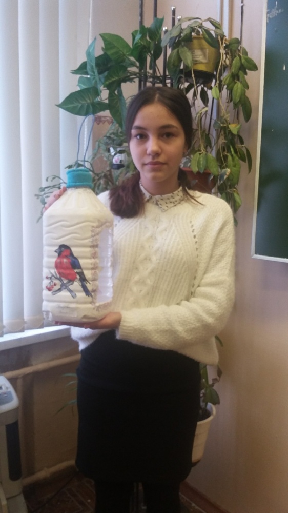 Анна Фадеева: Моя дизайнерская кормушка
