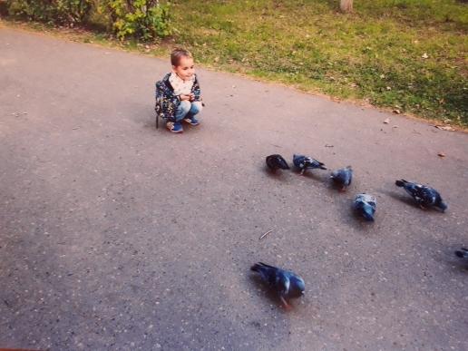 Дмитрий Такиев: Сизые голуби