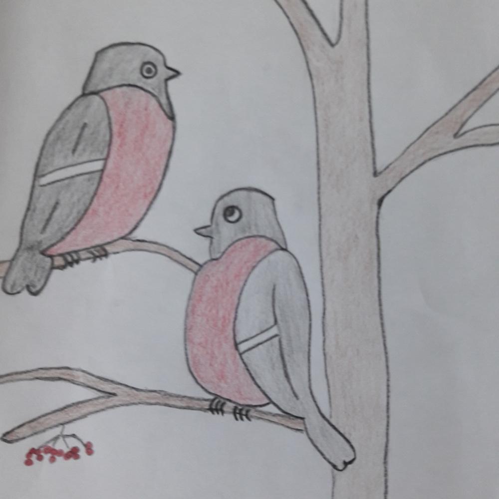Даниэль Ярмеев: Снегири