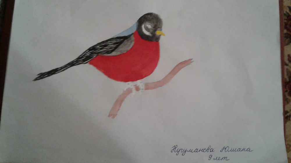 Юлиана Нугуманова: Снегирь