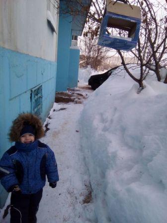 Арсений Галинуров: Кормушка своими руками