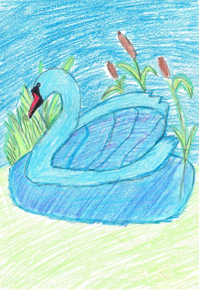 Рамзан Шарипов: Лебедь на пруду