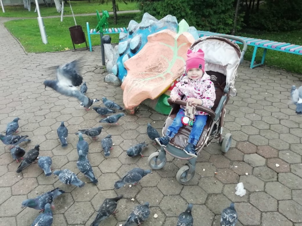 Алиса Андреева: Сизые голуби
