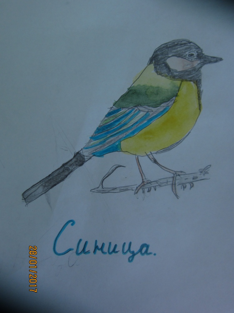 Фаягуль Тагирова: Синица