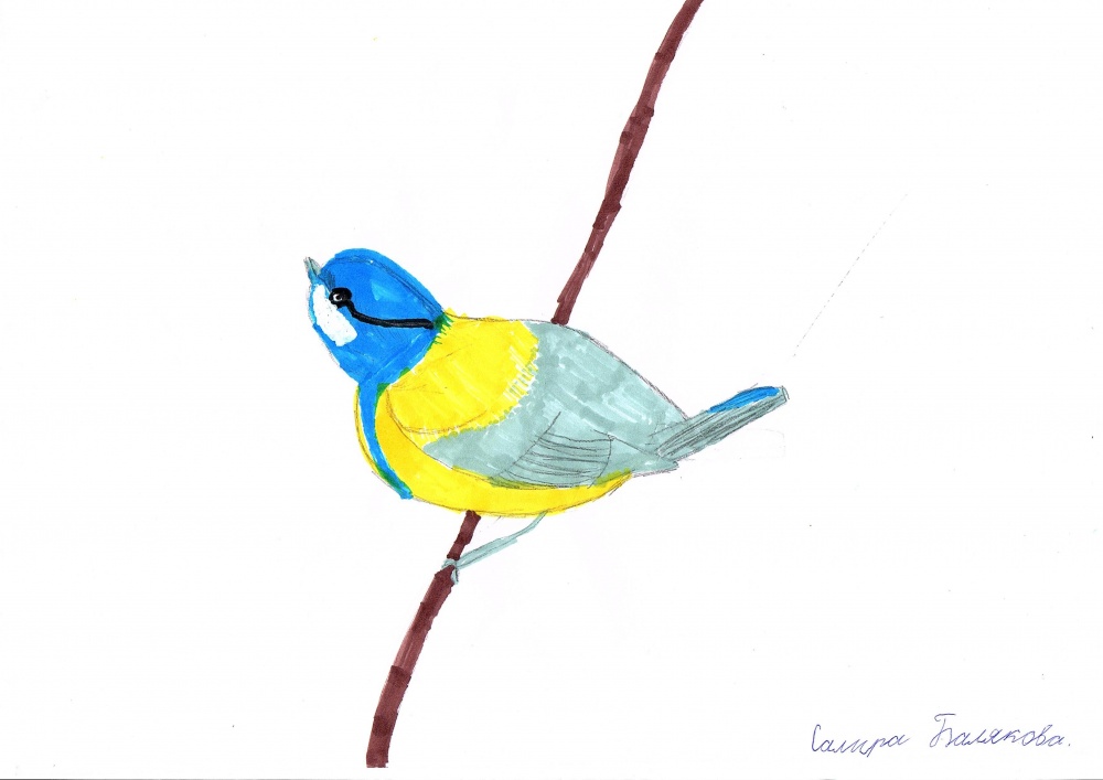 Птички невелички детская. Синичка невеличка. Птичка невеличка рисование. Синичка рисунок для детей. Синичка для срисовки для детей.