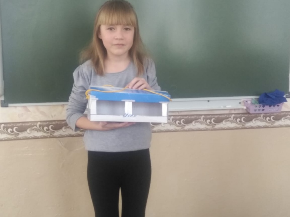 Алина Архипова: Кормим зимующих птиц