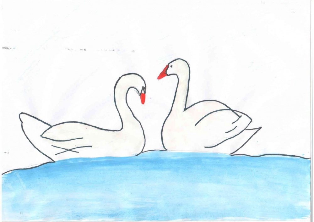 Алина Муртазина: Лебеди