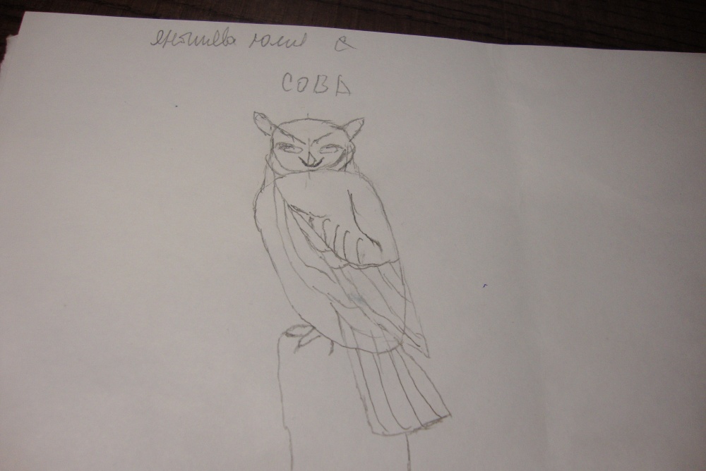 Юлия Янышева: Сова
