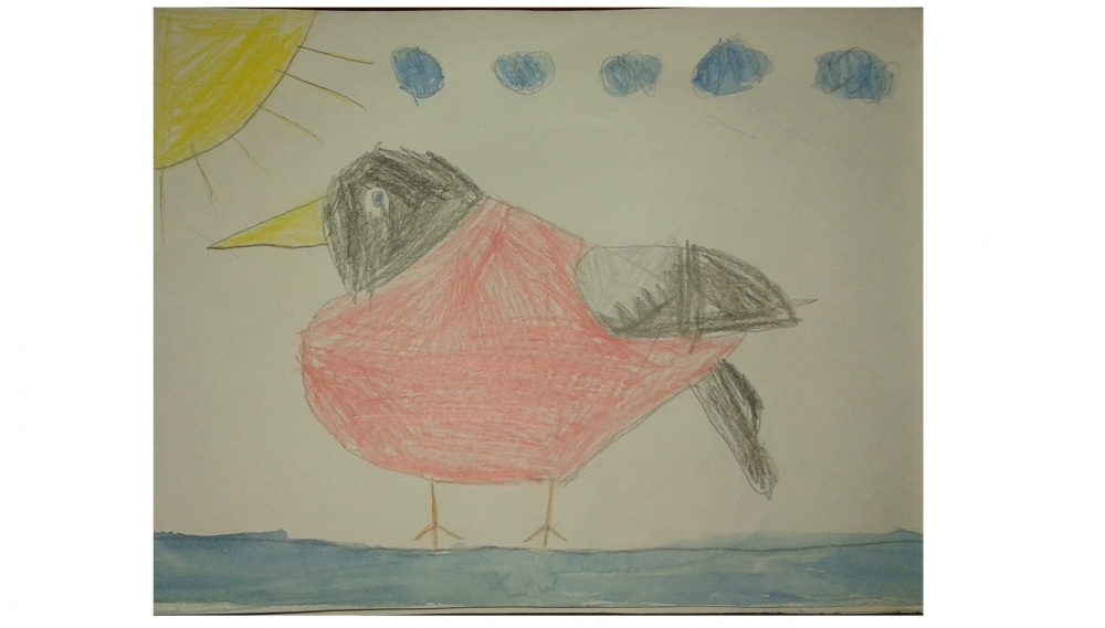 Любимая птица песня. Рисование. «Моя любимая птичка». Моя любимая птица. Рисунок моя любимая птица. Рисунок моя любимая птица 2 класс.
