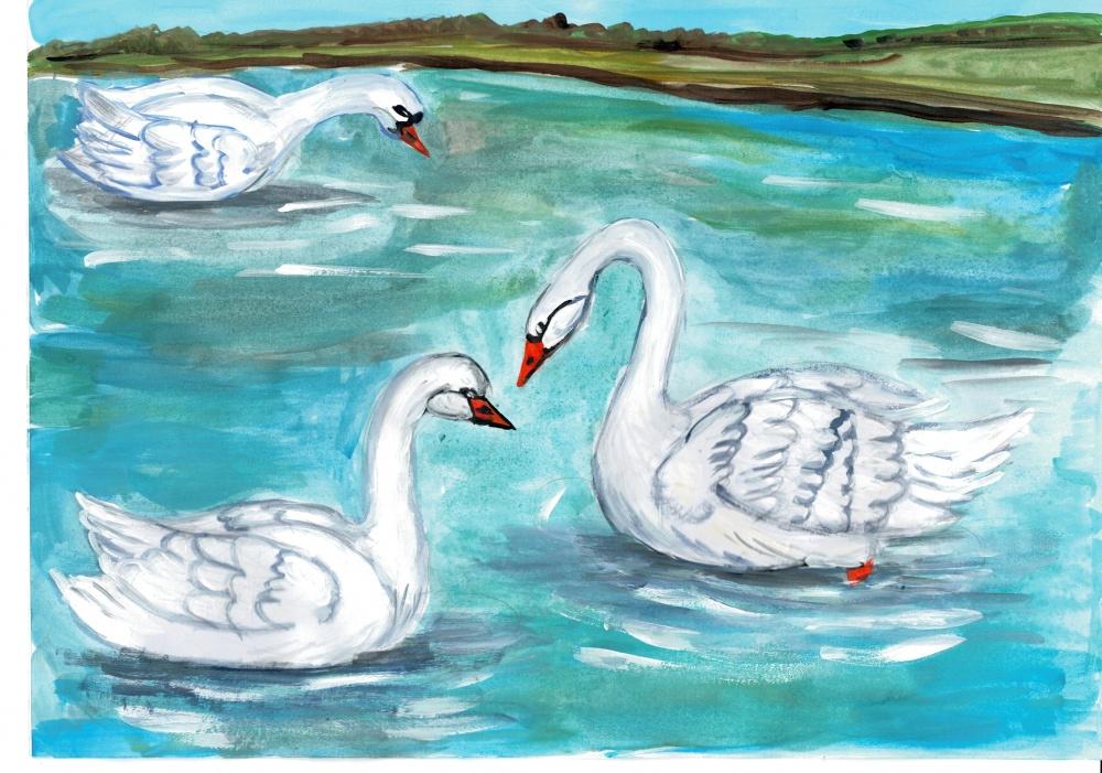 Нарисовать рисунок лебедушка. Рисование лебедя. Лебёдушка рисунок. Рисование на тему лебеди. Лебедь рисунок карандашом.