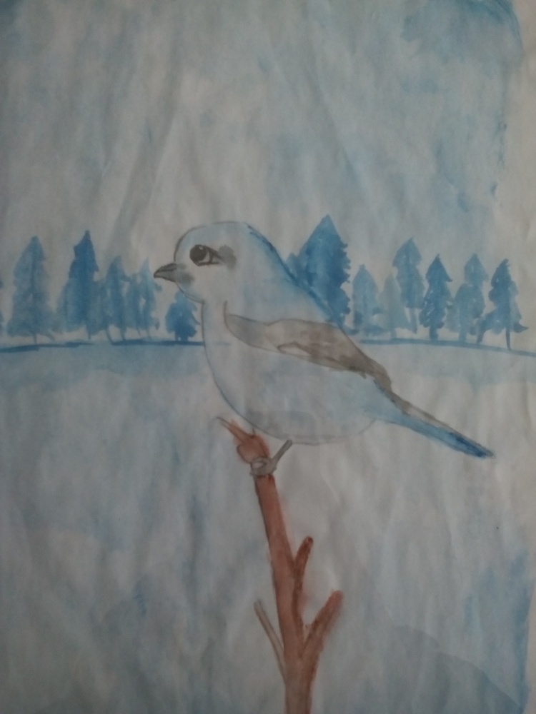 Диана Илларионова: Птичка зимой
