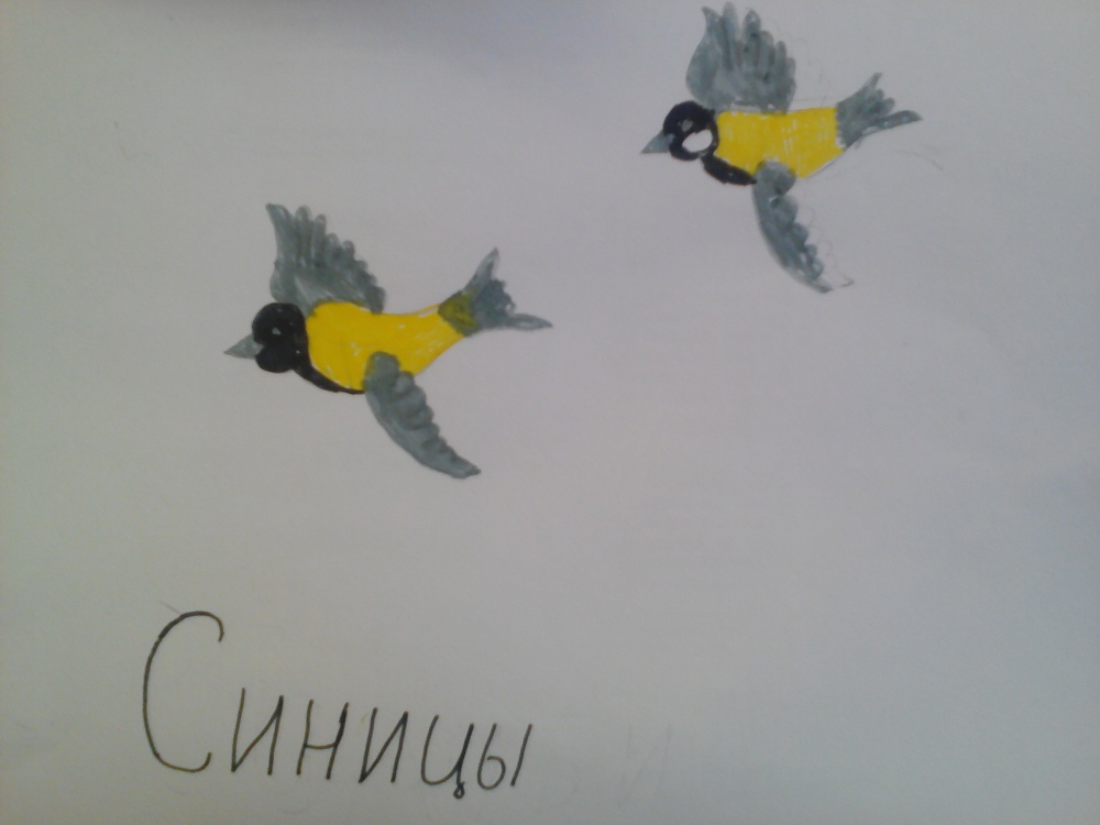 Азалия Абдрахманова: Синицы