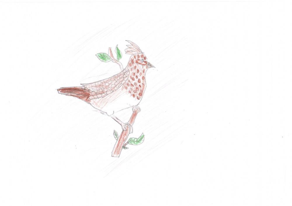 Аделия Гайсина: Задумчивая птица