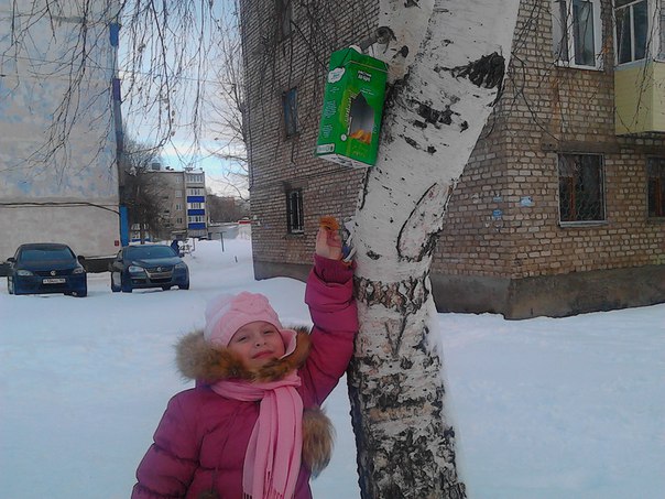 Анна Мизгулина: Покормим птиц зимой!