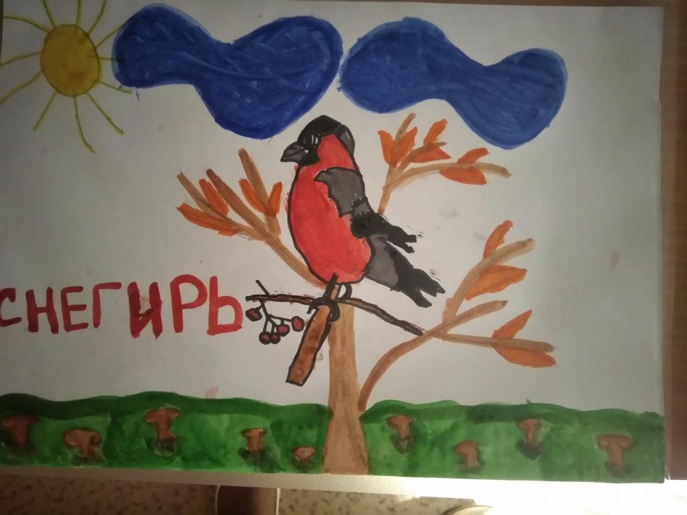 Лера Гайнетдинова: Снегирь