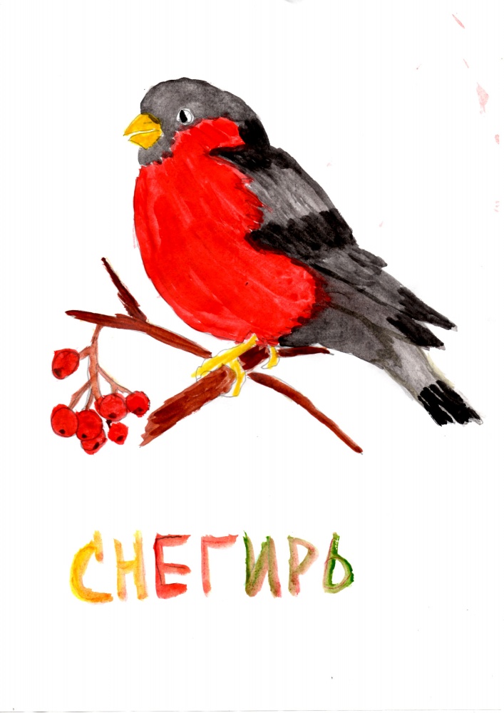 Марк Афанасьев: Снегирь