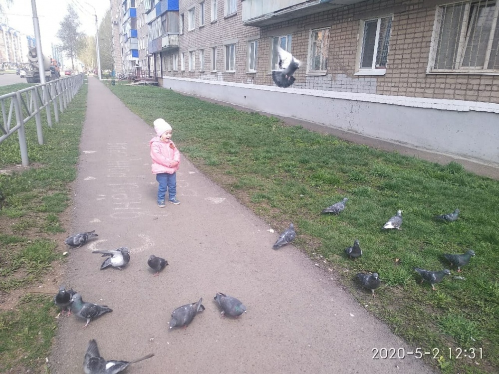 Ясмина Мухтарова: Сизые голуби