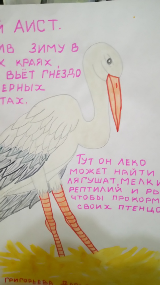 Дарья Григорьева: Аист