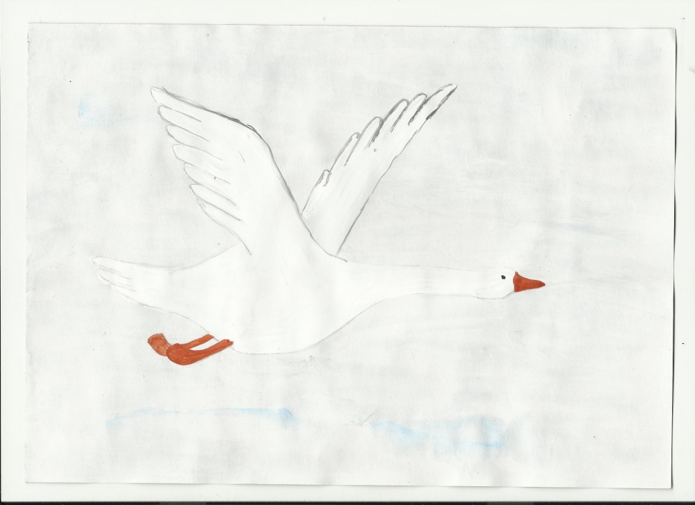 Дмитрий Бухаров: Лебедь