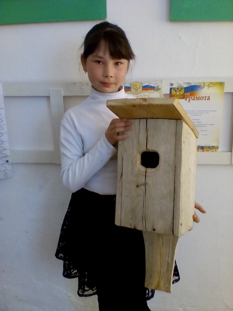 Валерия Черненко: Домик для моей любимой птицы