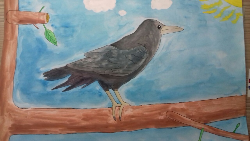 Рисование грача в средней группе. Рисование Грача. Рисование для детей перелетные птицы. Грач рисунок. Для рисования птица Грач для детей.