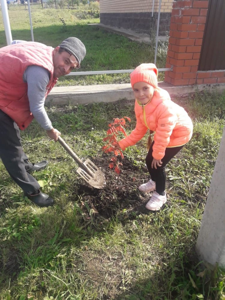 Азалия Ибрагимова: Посадите дерево, пусть оно растет!