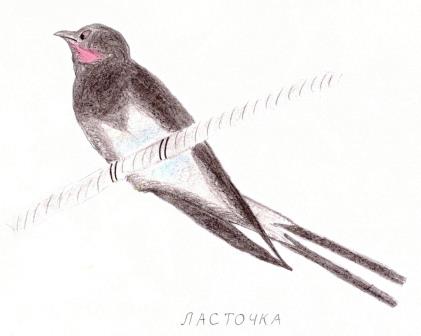 Лиана Ахметшина: Ласточка