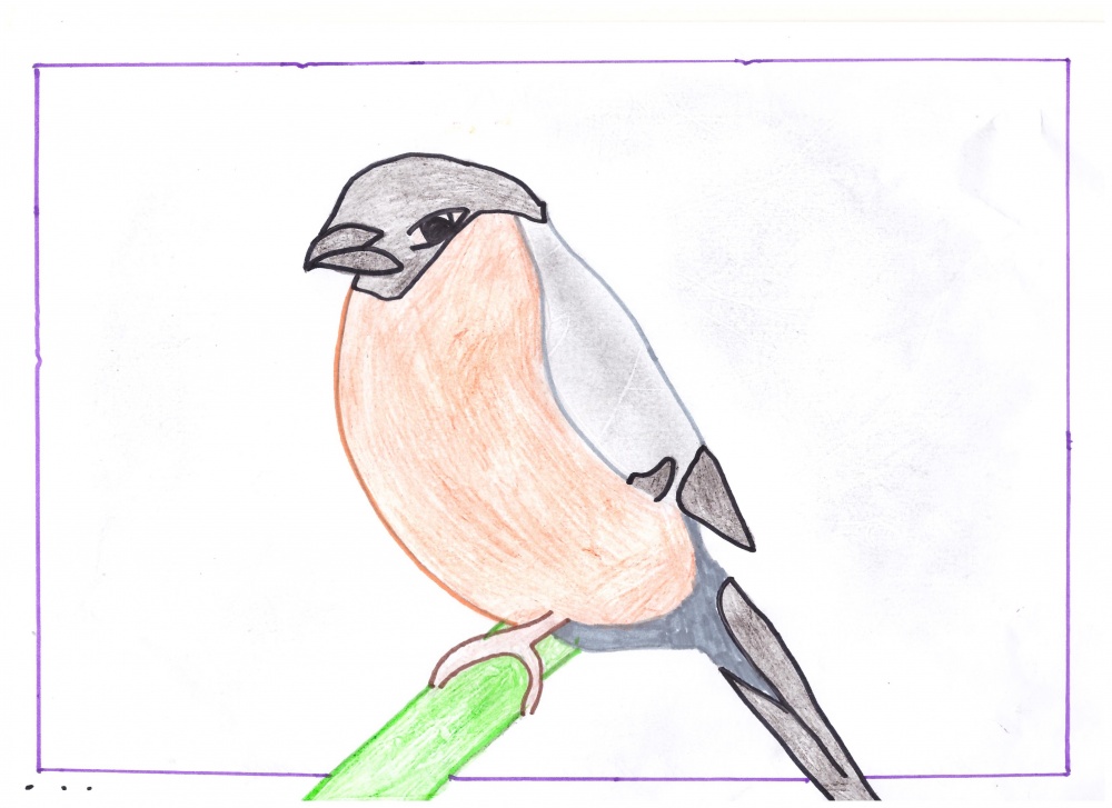 Рисунок птицы 5 класс. Птицы для срисовки. Рисунки птиц для срисовки. Птицы карандашом для срисовки. Птицы для срисовки легкие.