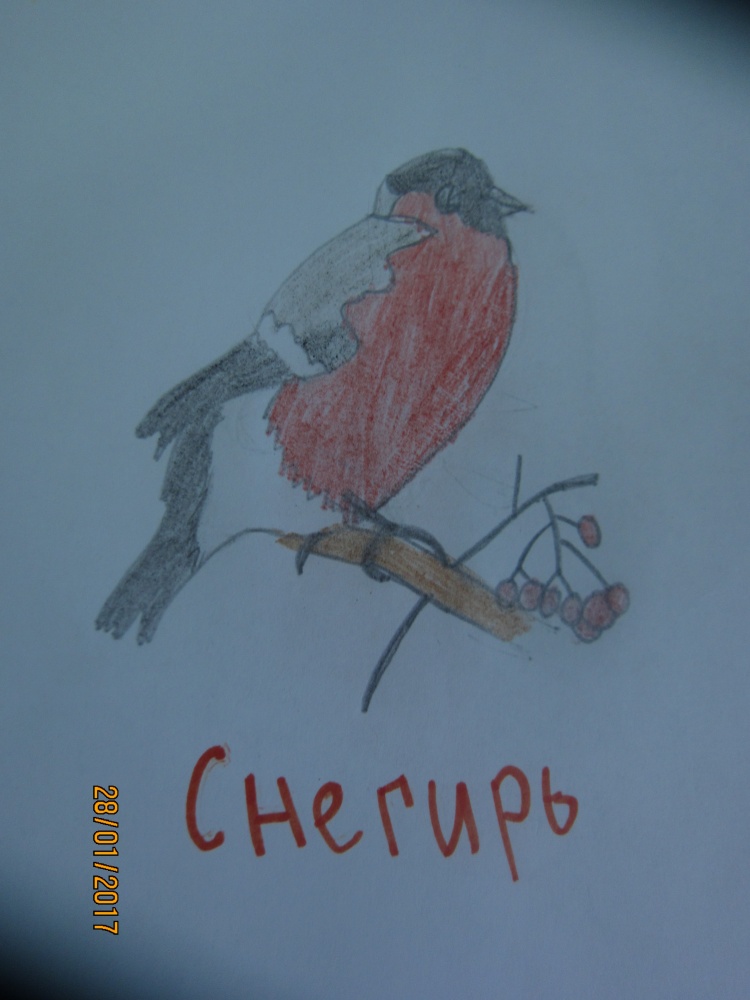 Луиза Байчурина: Снегирь