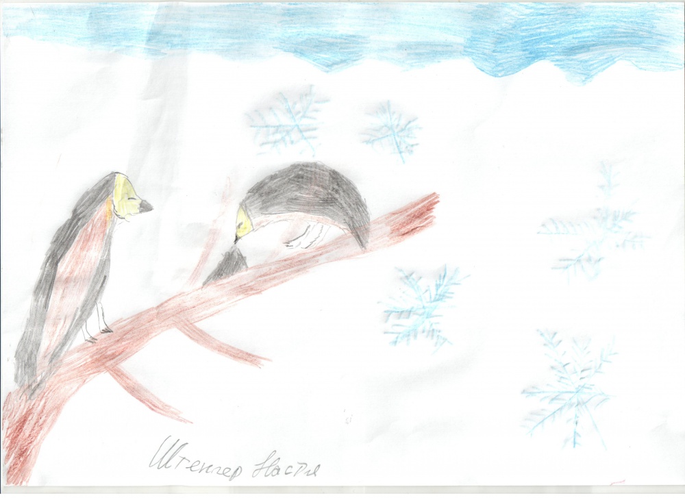 Анастасия Штенгер: Покормите птиц зимой
