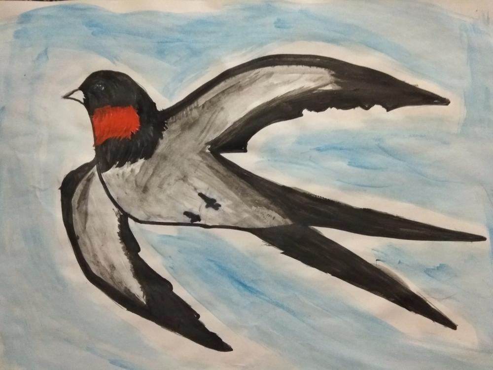 Ласточка карандашом для детей. Нарисовать перелетную птицу ласточку. Ласточка рисунок. Рисование Ласточка. Ласточка рисунок детский.