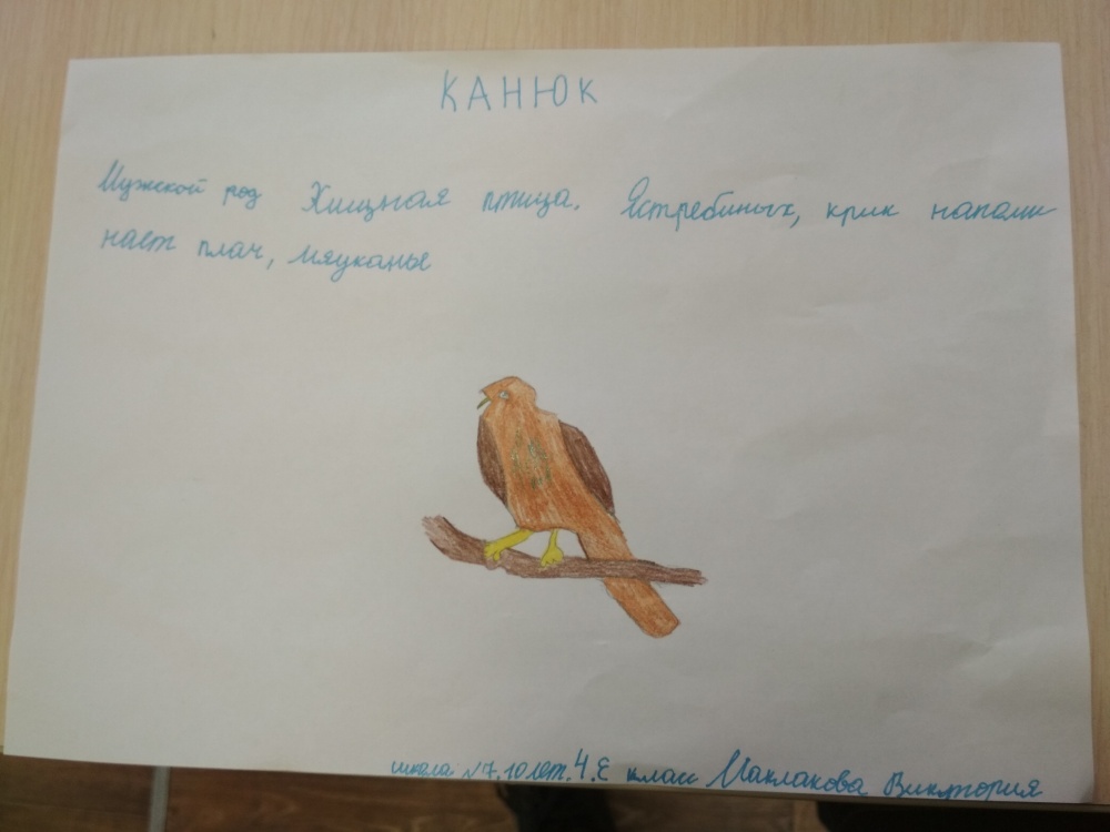 Виктория Маклакова: Канюк