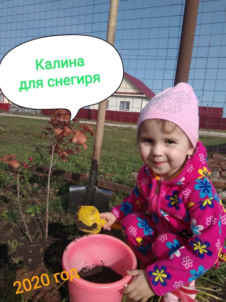Амина Ахматгалиева: Калина для снегиря