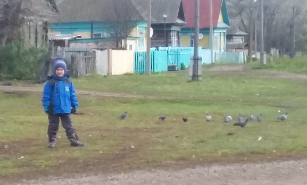 Ильназ Арсланов: Сизые голуби