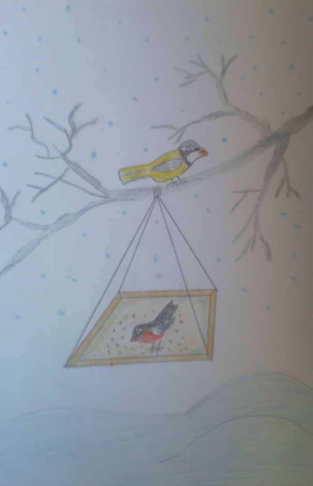 Роман Зайнетдинов: зимующие птицы