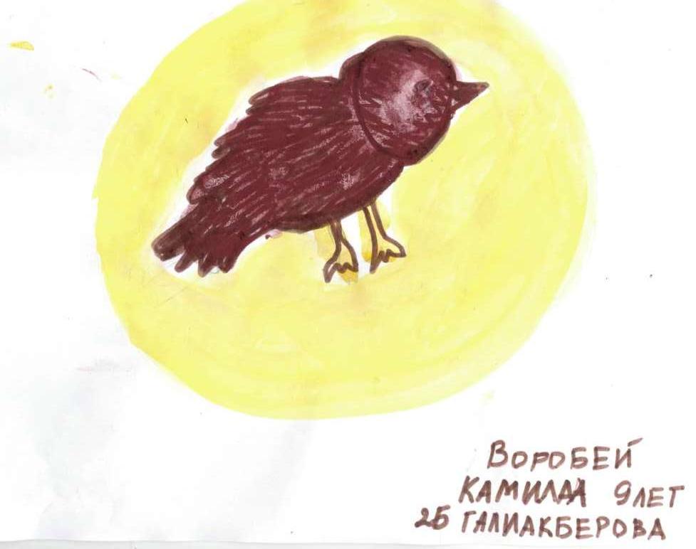 Камила Галиакберова: Воробей