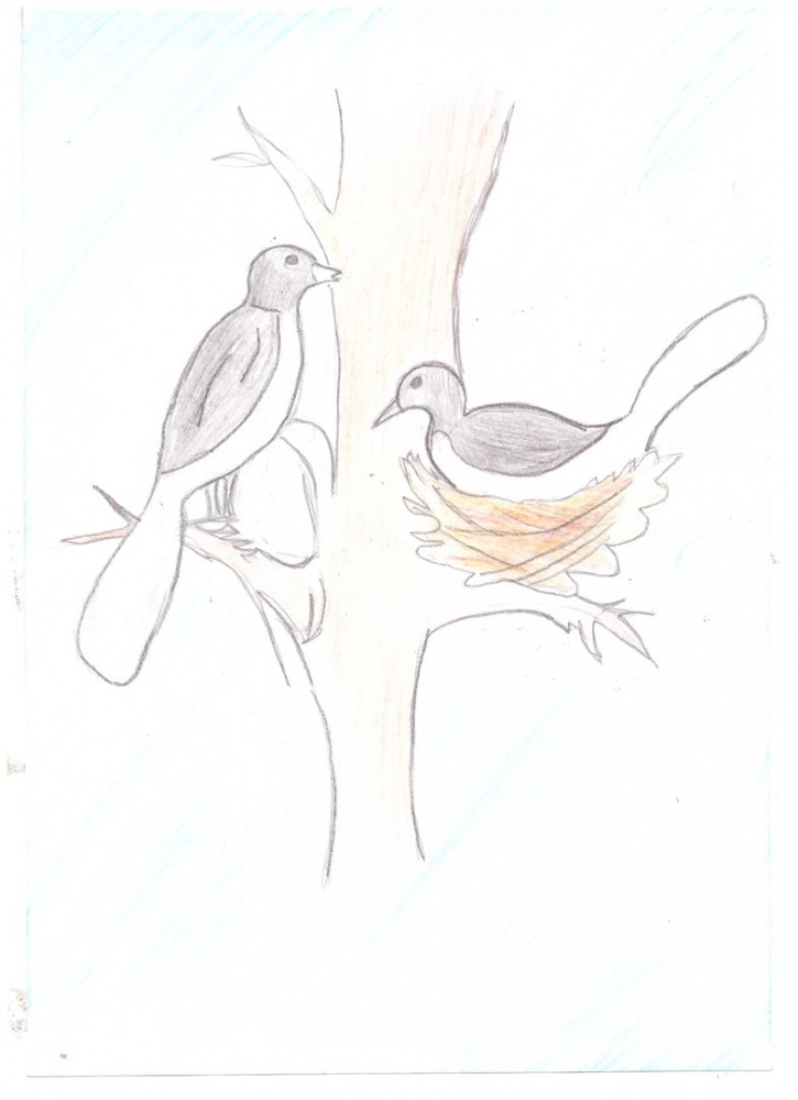 Эльвина Инчигулова: Птицы у гнезда